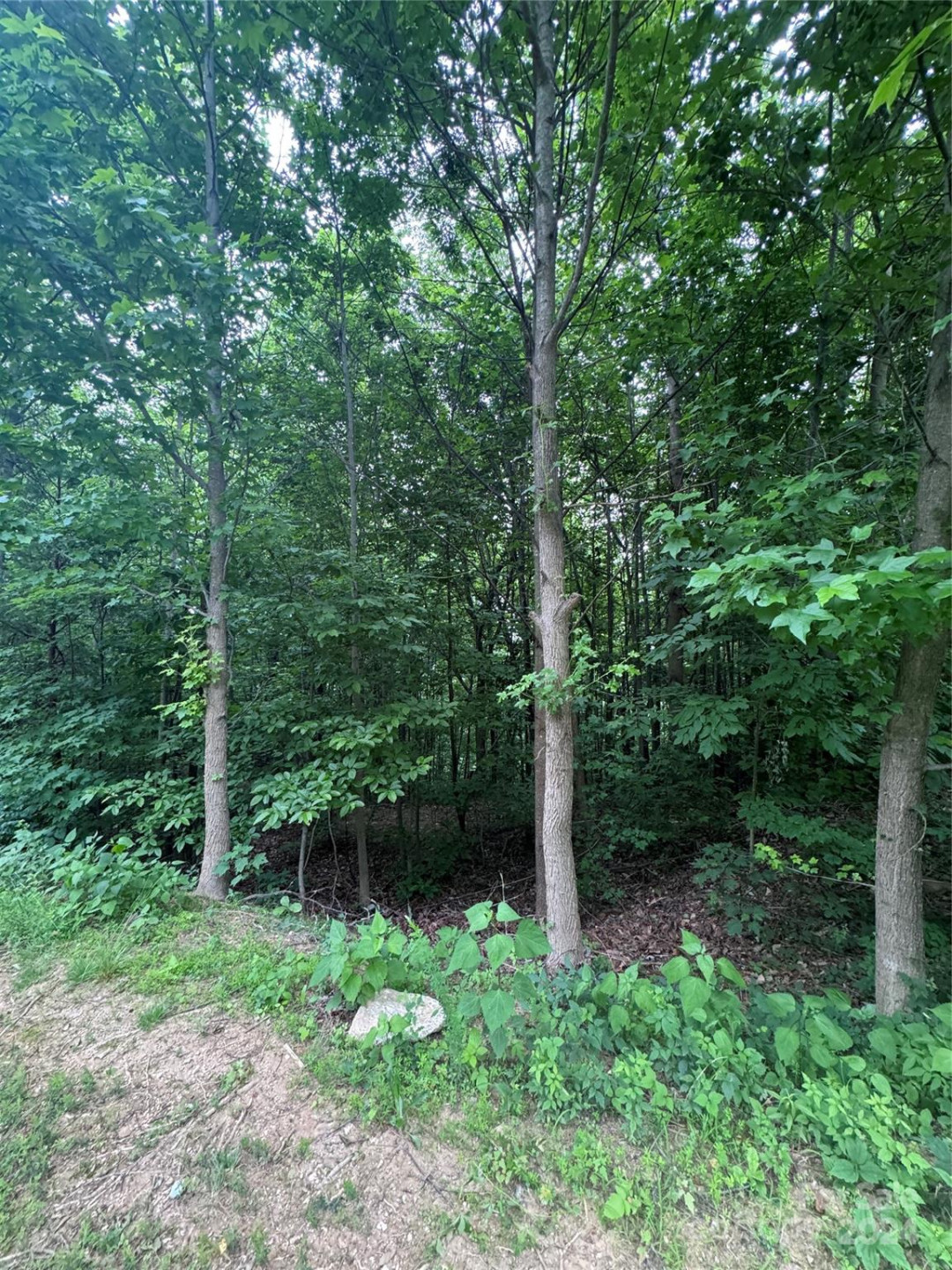 0 Holland Drive #18 - Photo 20