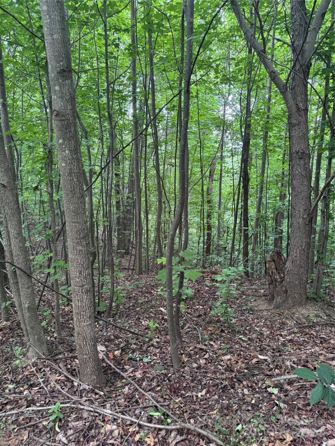 0 Holland Drive #18 - Photo 3