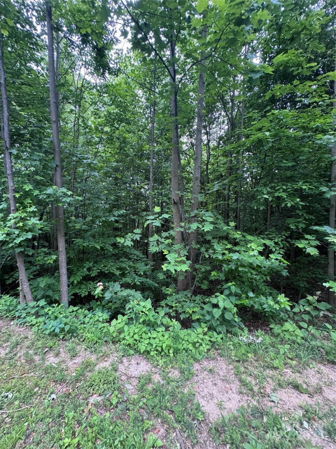 0 Holland Drive #18 - Photo 21