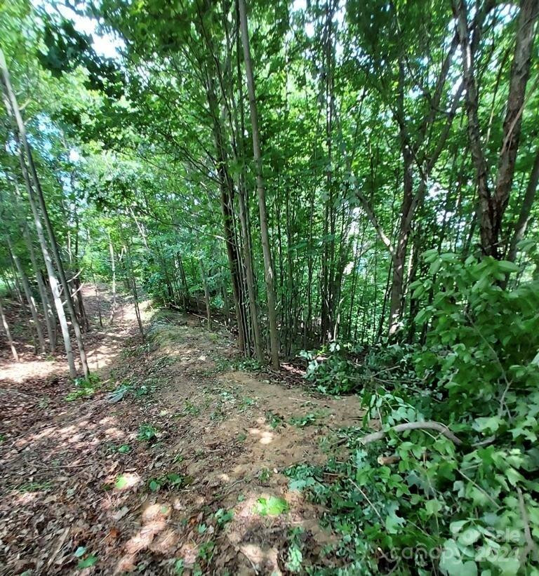 0 Holland Drive #18 - Photo 24