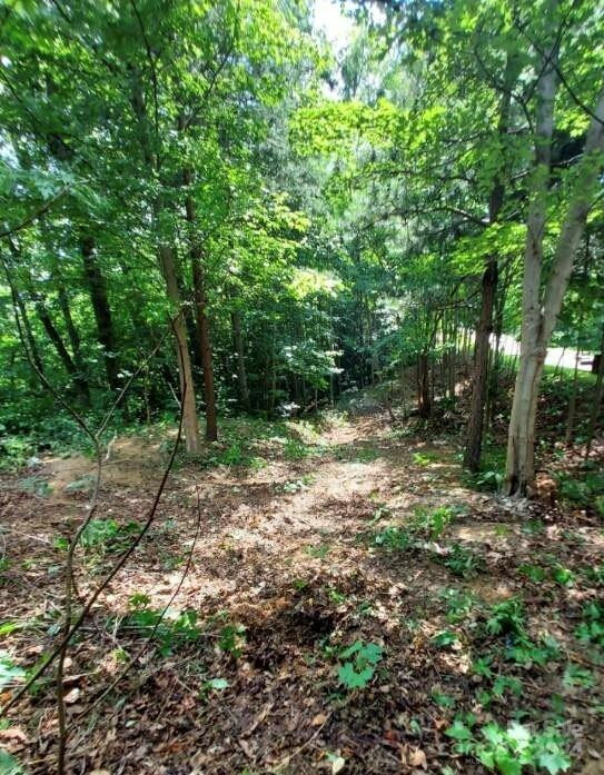 0 Holland Drive #18 - Photo 26