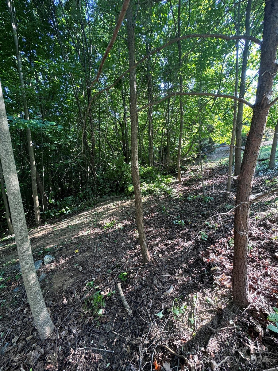 0 Holland Drive #18 - Photo 28