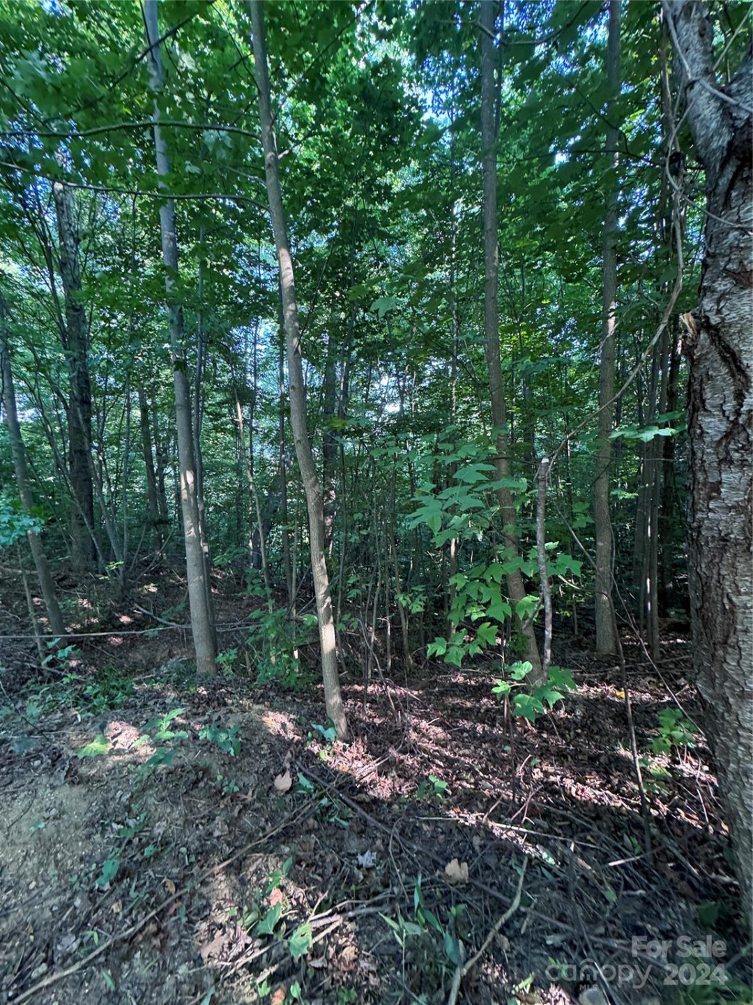 0 Holland Drive #18 - Photo 29