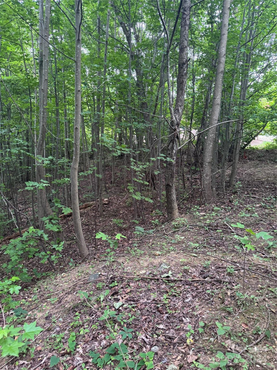 0 Holland Drive #18 - Photo 4