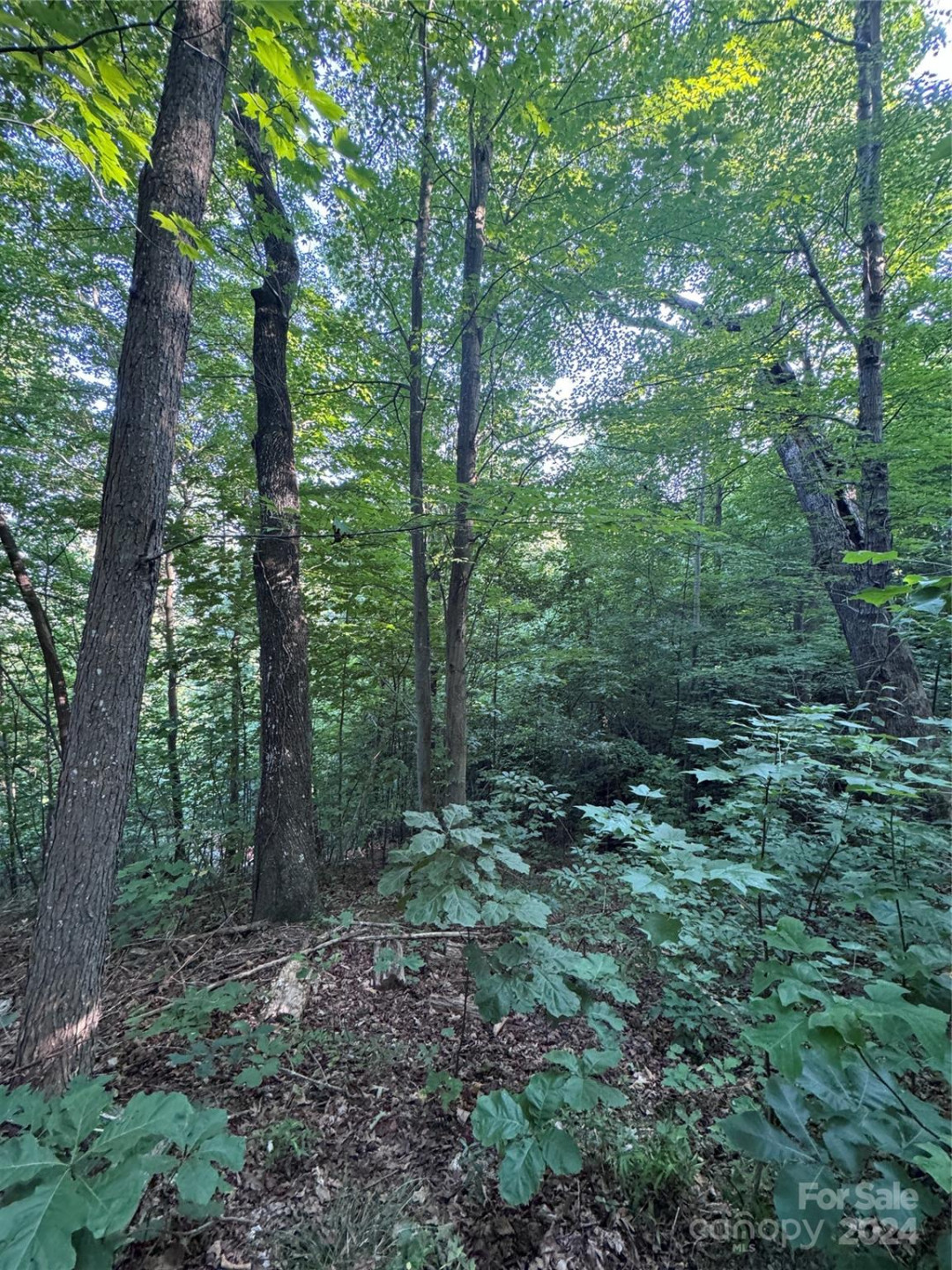 0 Holland Drive #18 - Photo 31