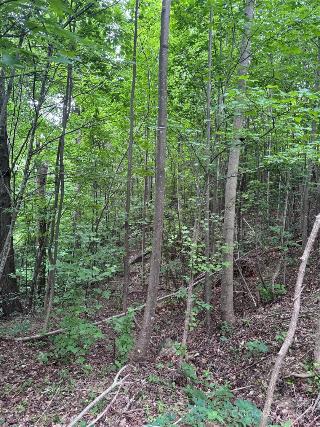 0 Holland Drive #18 - Photo 5