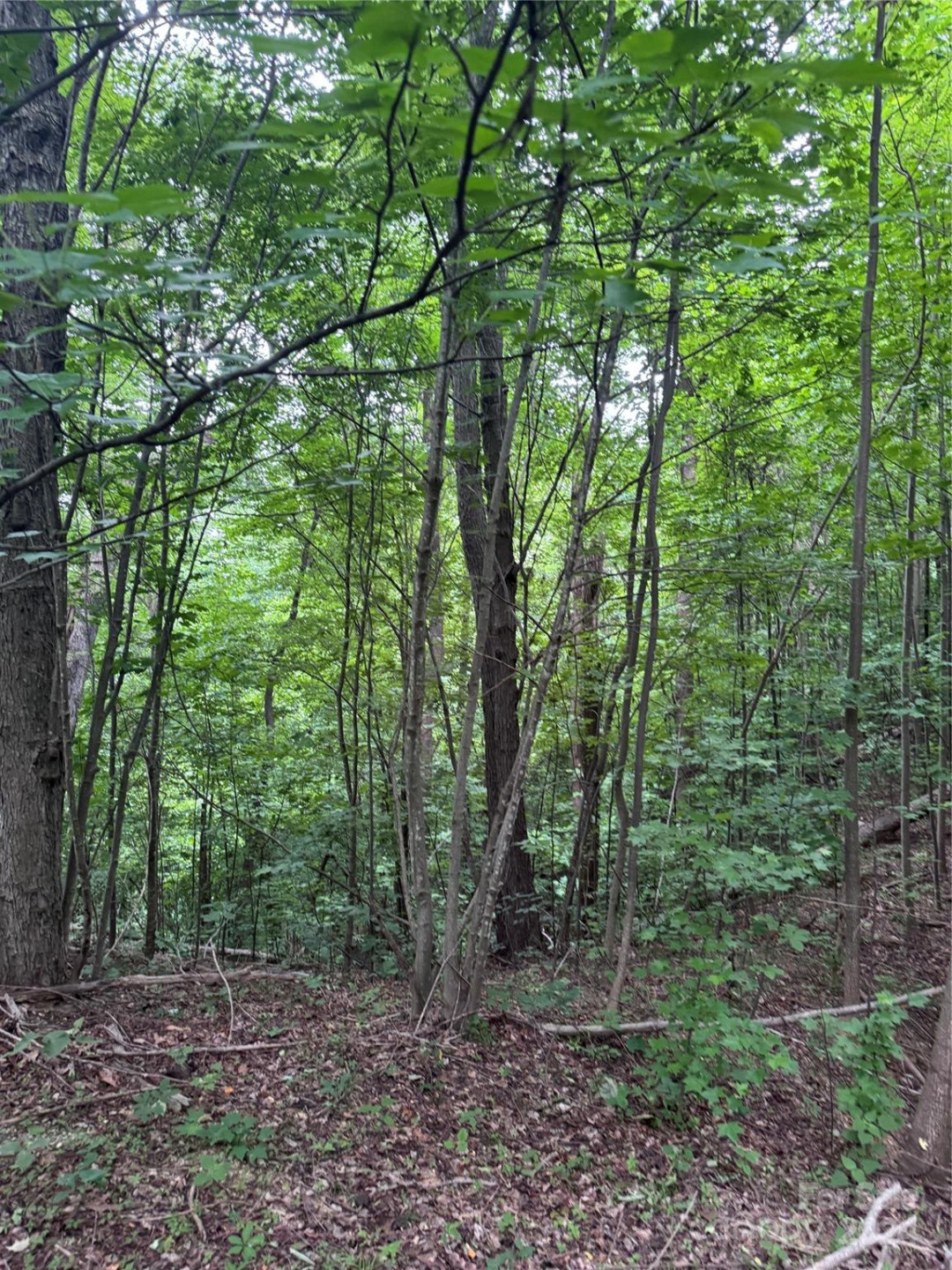 0 Holland Drive #18 - Photo 6