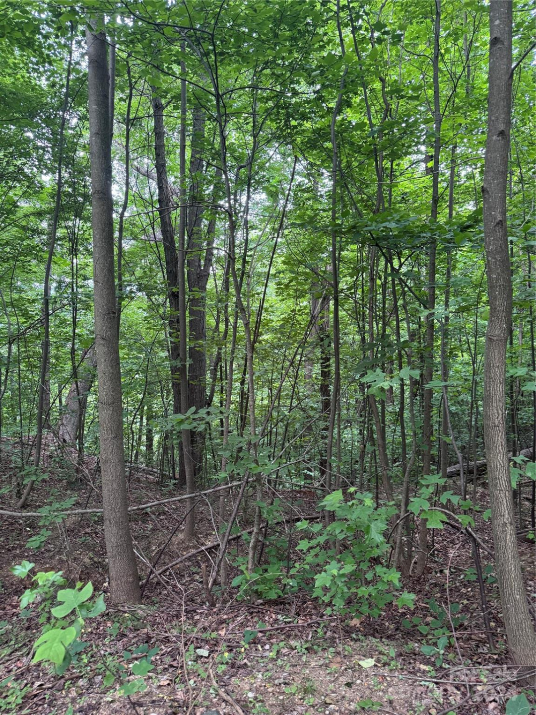 0 Holland Drive #18 - Photo 7