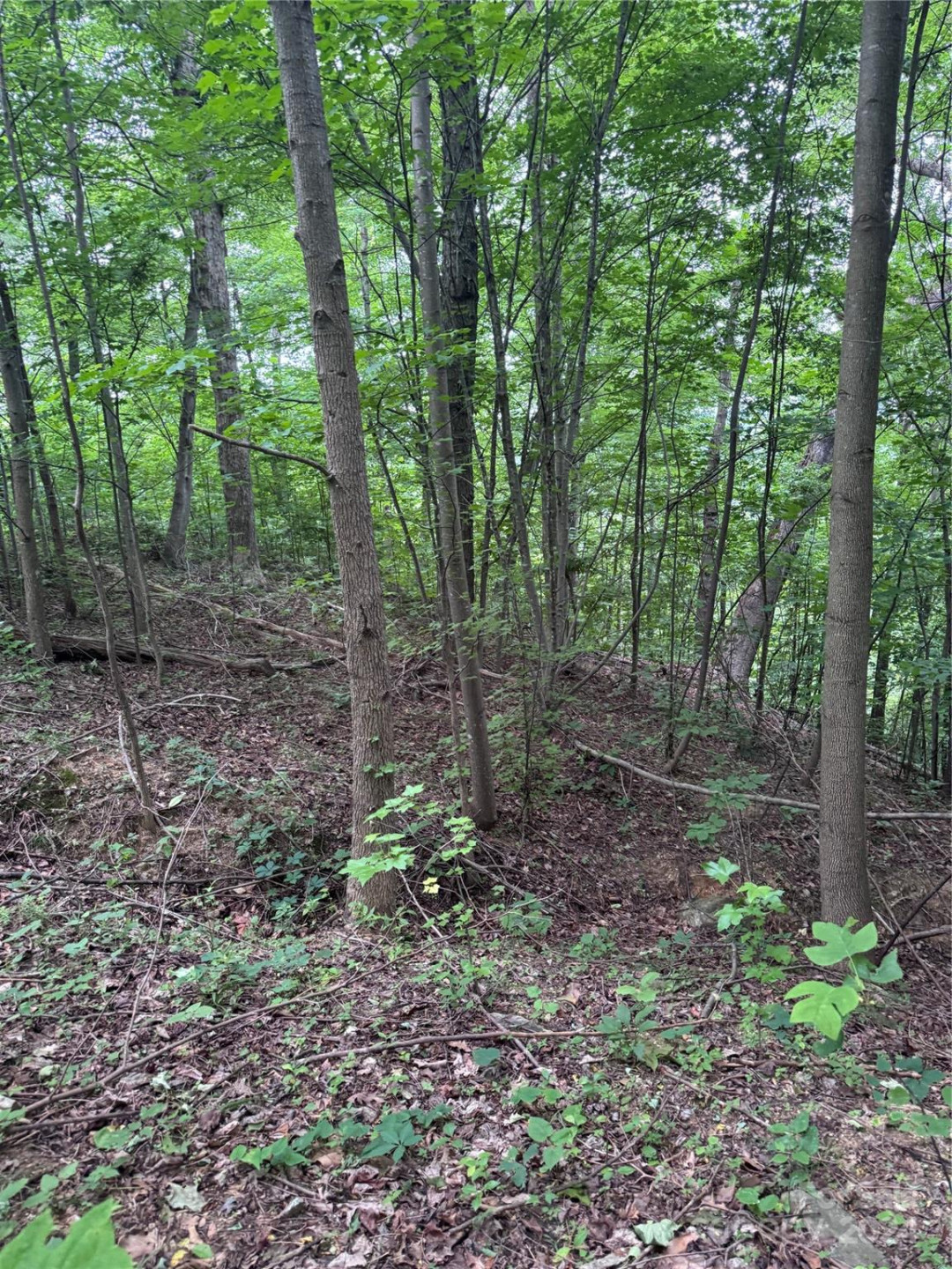 0 Holland Drive #18 - Photo 9