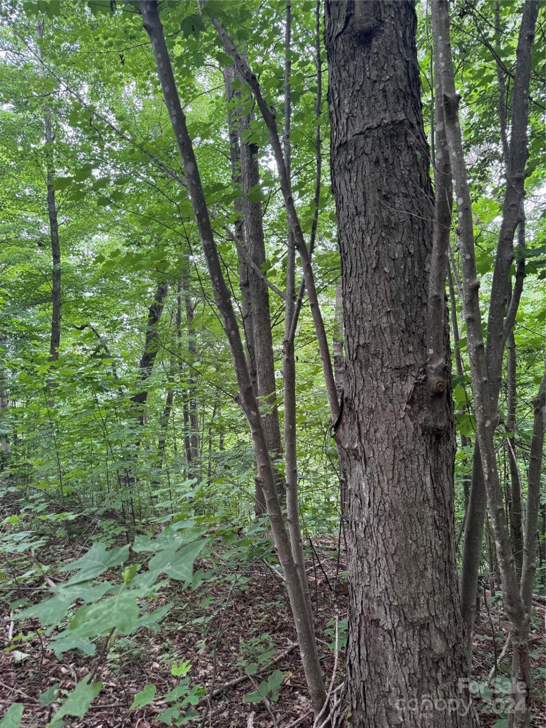 0 Holland Drive #18 - Photo 10