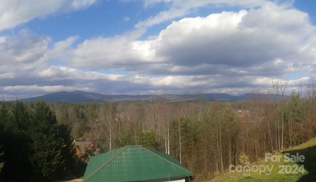 9999 Misty Mountain Drive #32 - Photo 17