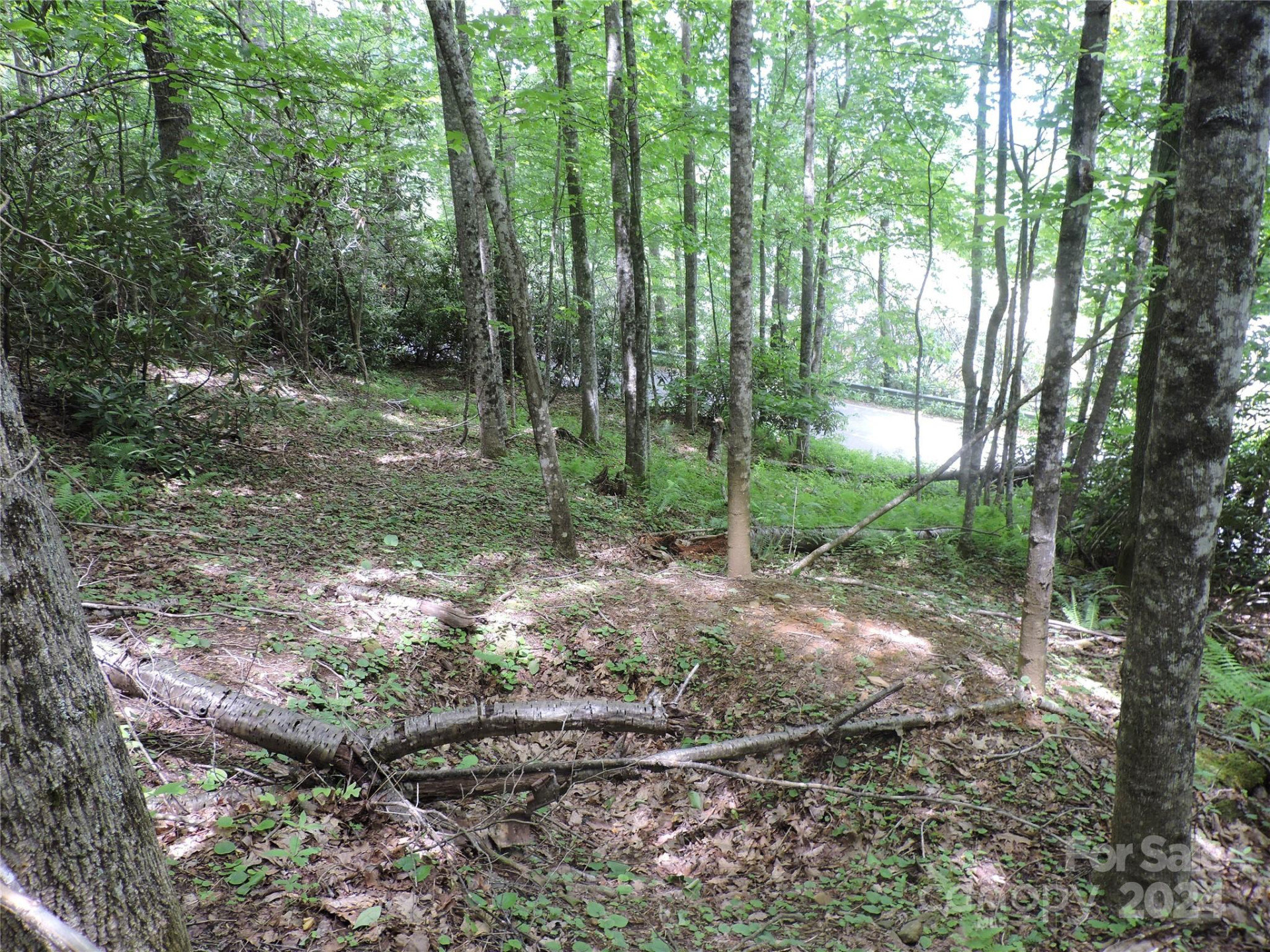 00 South Toe River Road #lot 3 - Photo 12