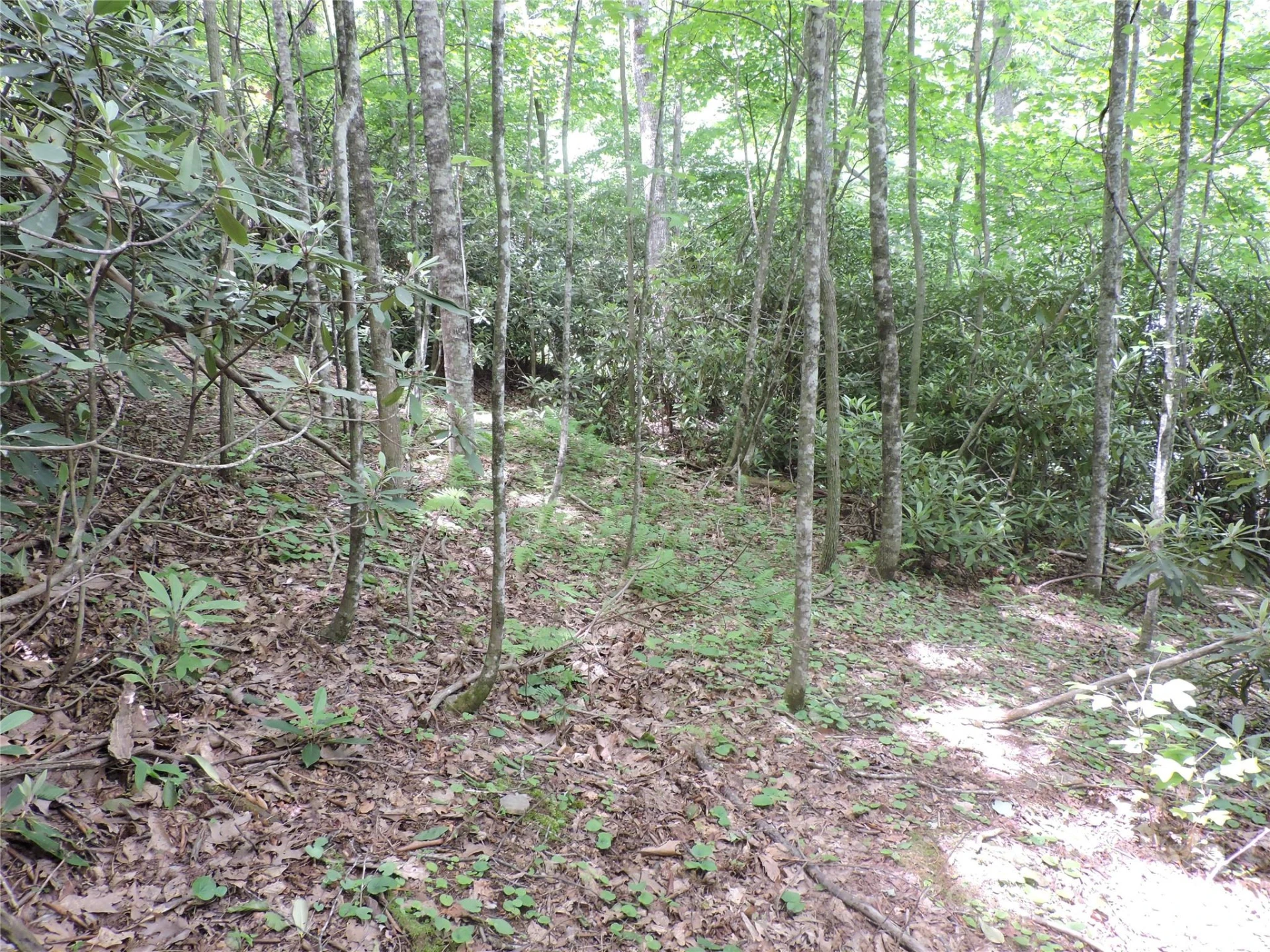 00 South Toe River Road #lot 3 - Photo 13