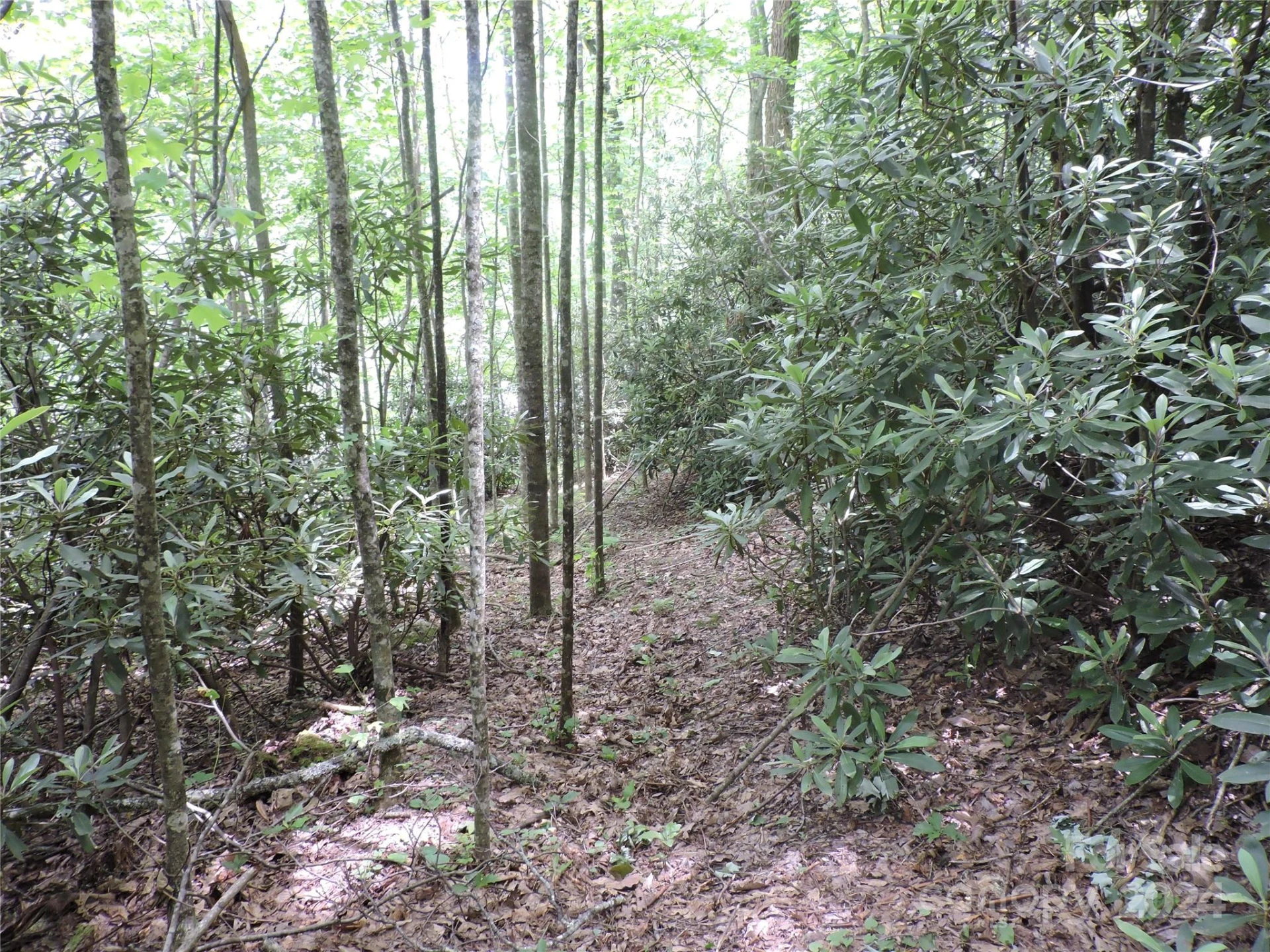 00 South Toe River Road #lot 3 - Photo 14