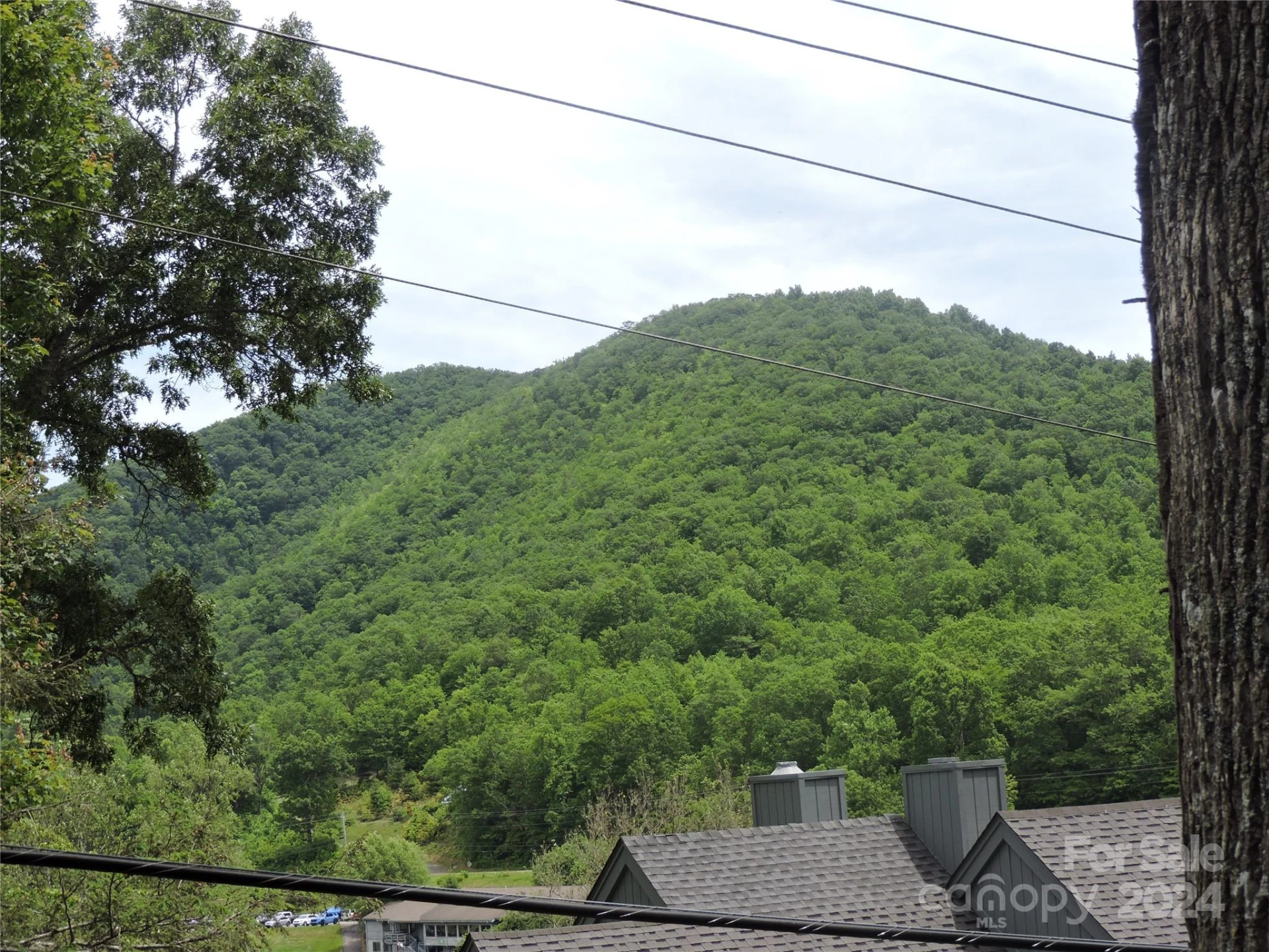 00 South Toe River Road #lot 3 - Photo 3