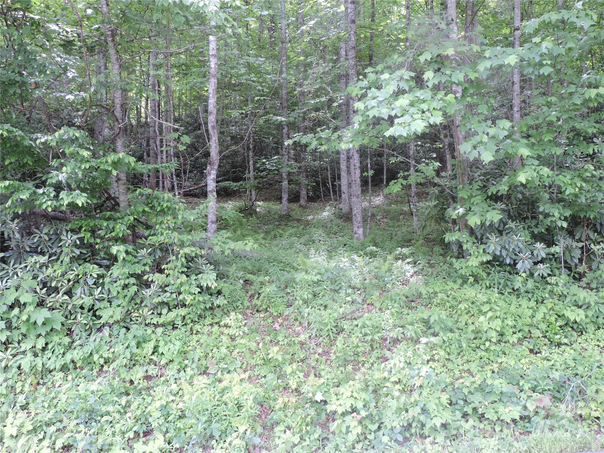 00 South Toe River Road #lot 3 - Photo 27