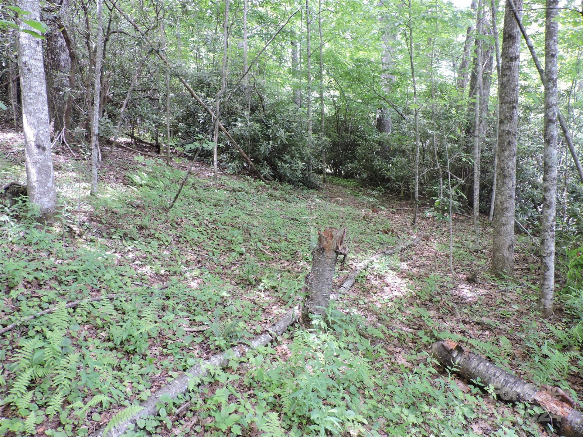 00 South Toe River Road #lot 3 - Photo 5
