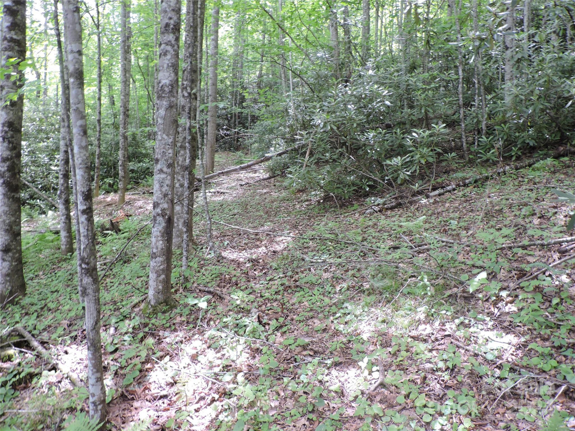 00 South Toe River Road #lot 3 - Photo 6