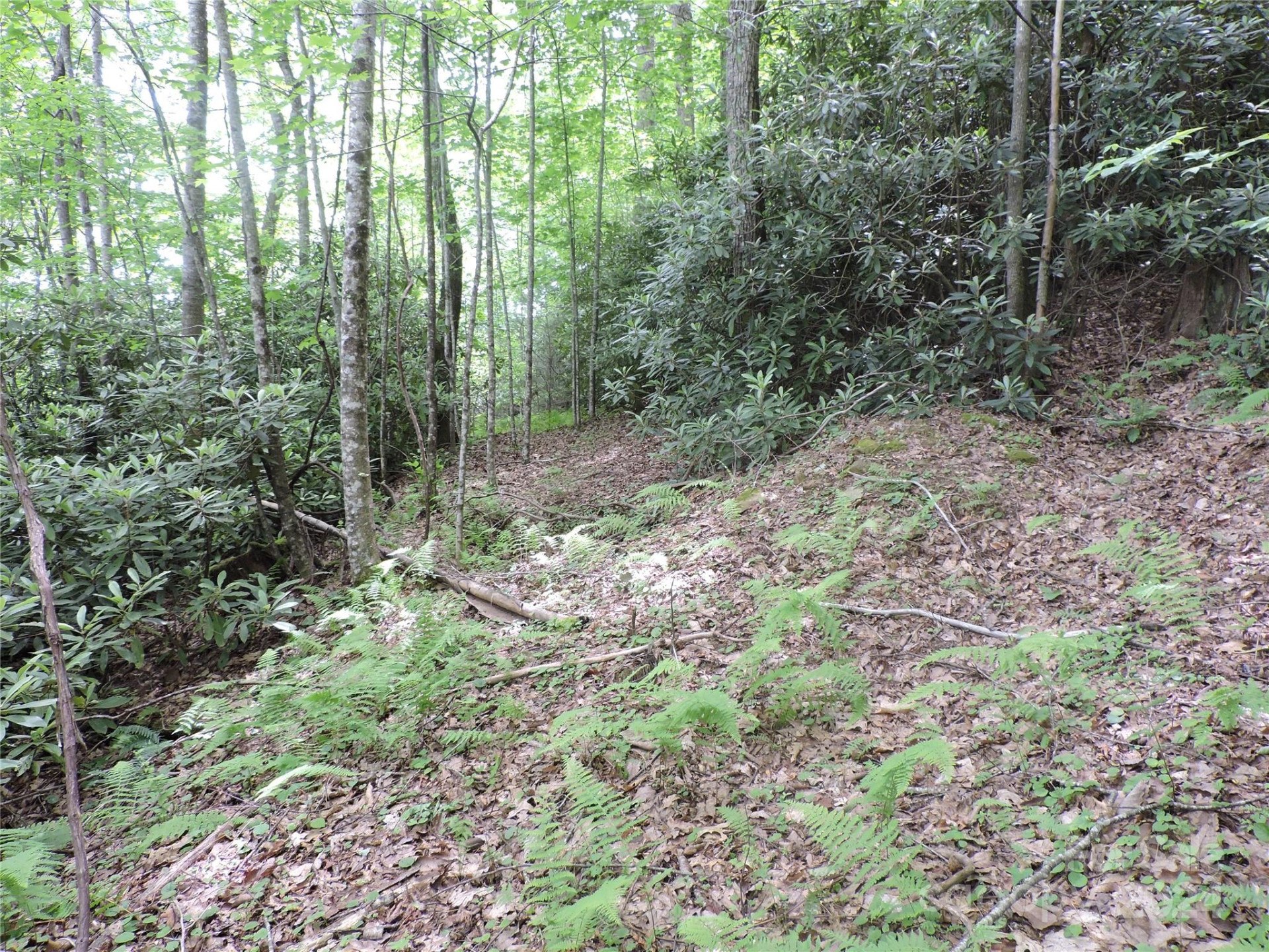 00 South Toe River Road #lot 3 - Photo 8