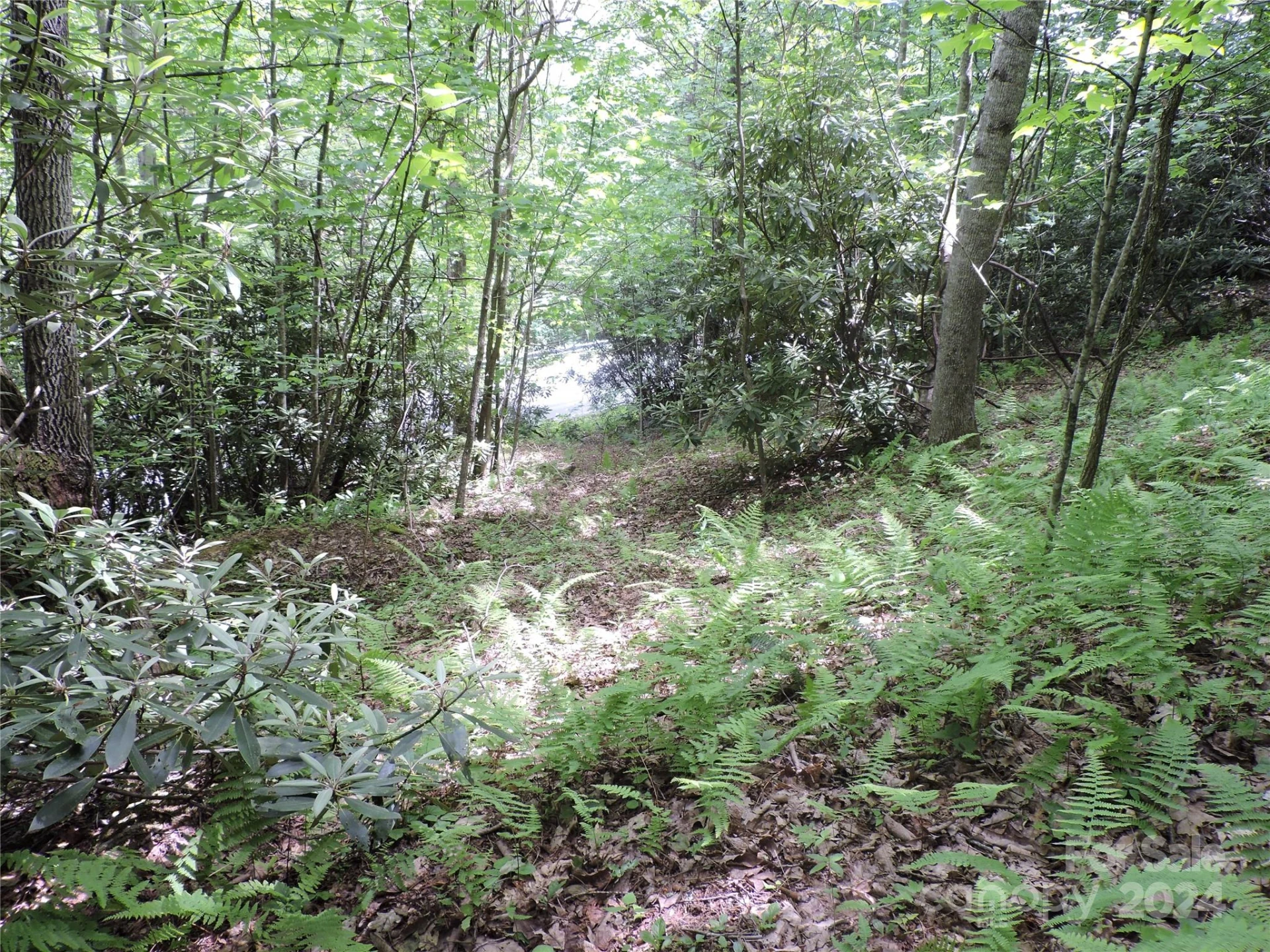 00 South Toe River Road #lot 3 - Photo 10