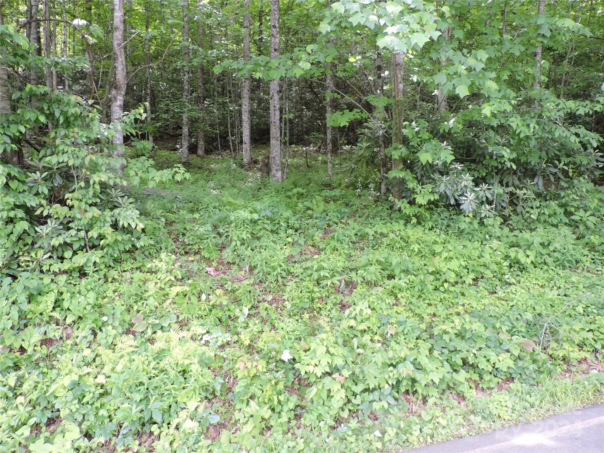 00 South Toe River Road #lot 2 - Photo 3