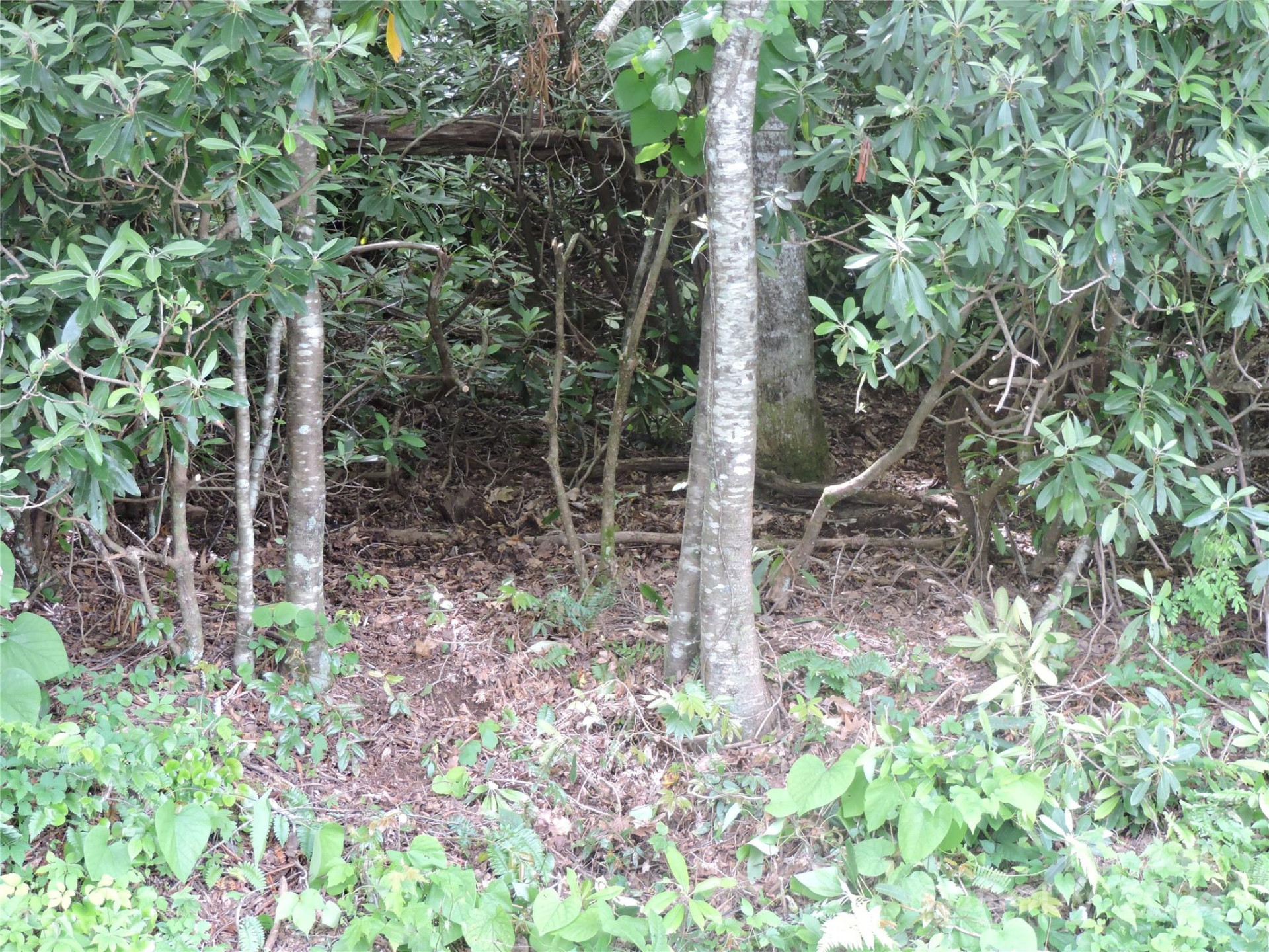 00 South Toe River Road #lot 2 - Photo 27