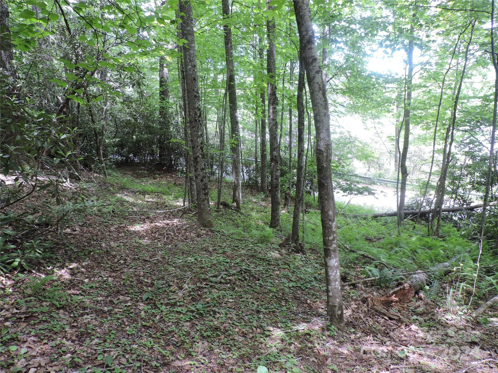 00 South Toe River Road #lot 2 - Photo 6