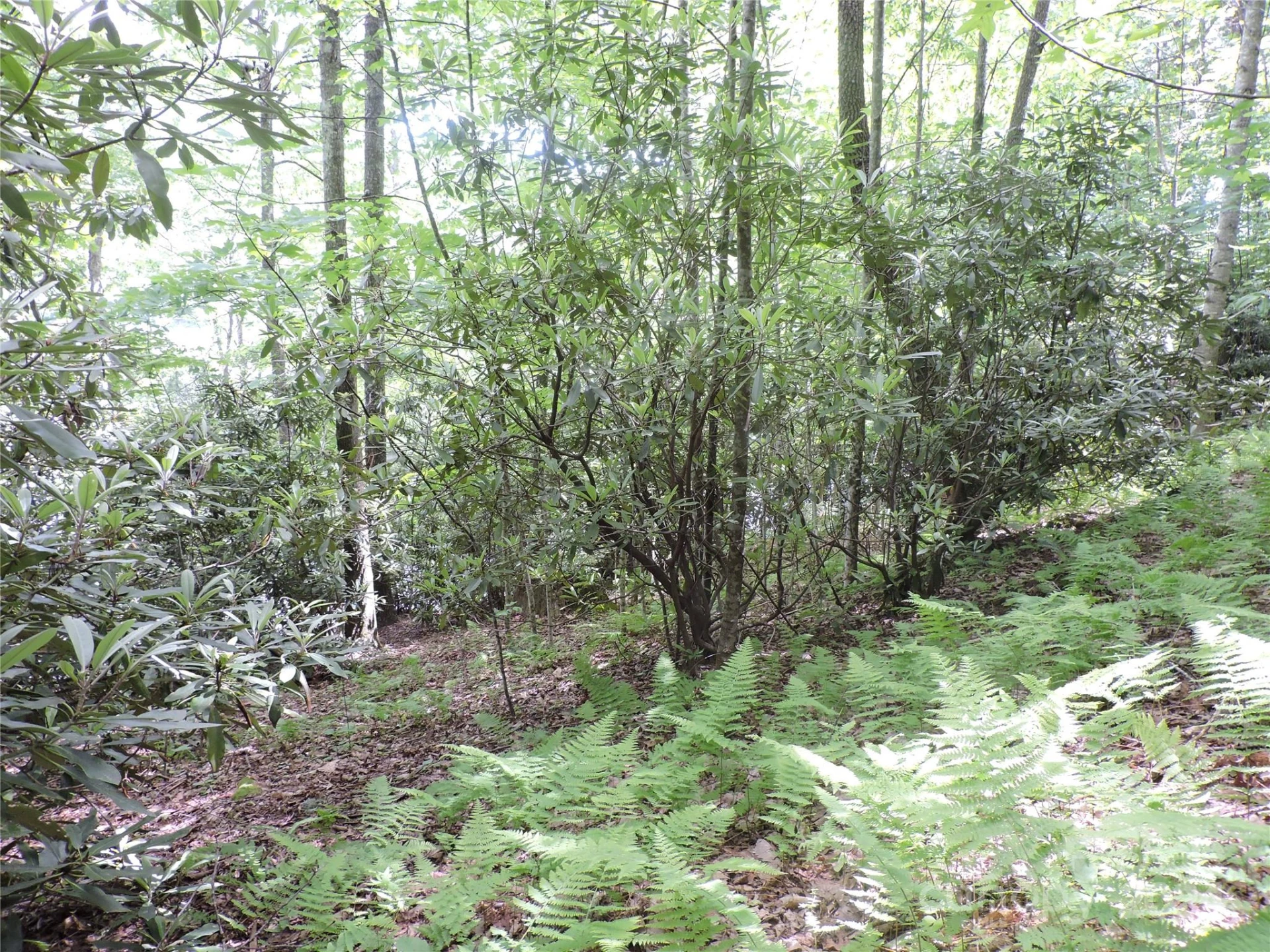 00 South Toe River Road #lot 2 - Photo 8