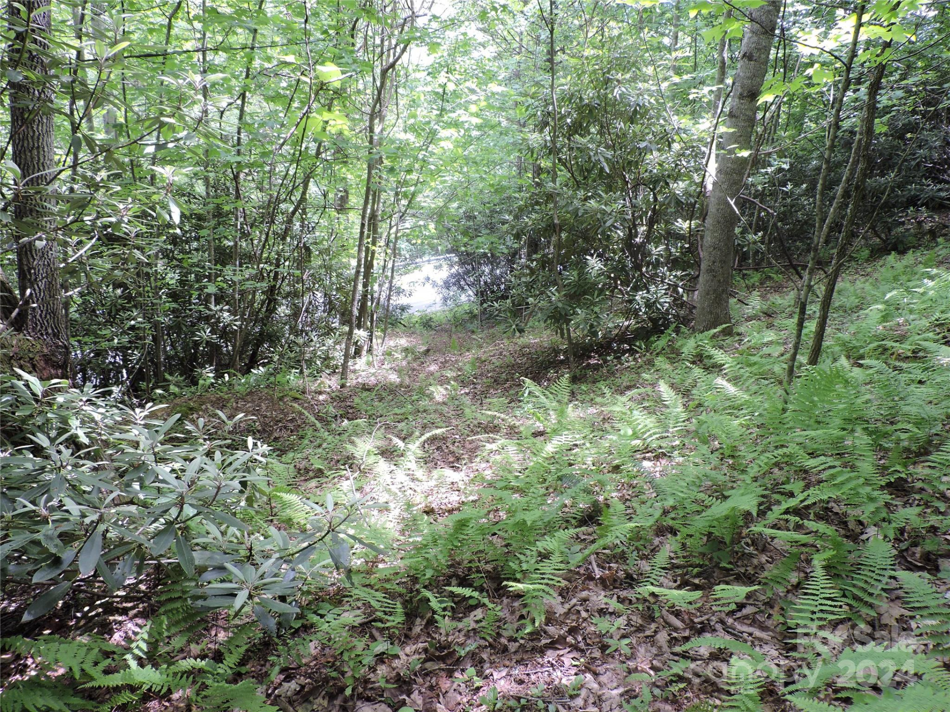 00 South Toe River Road #lot 2 - Photo 9