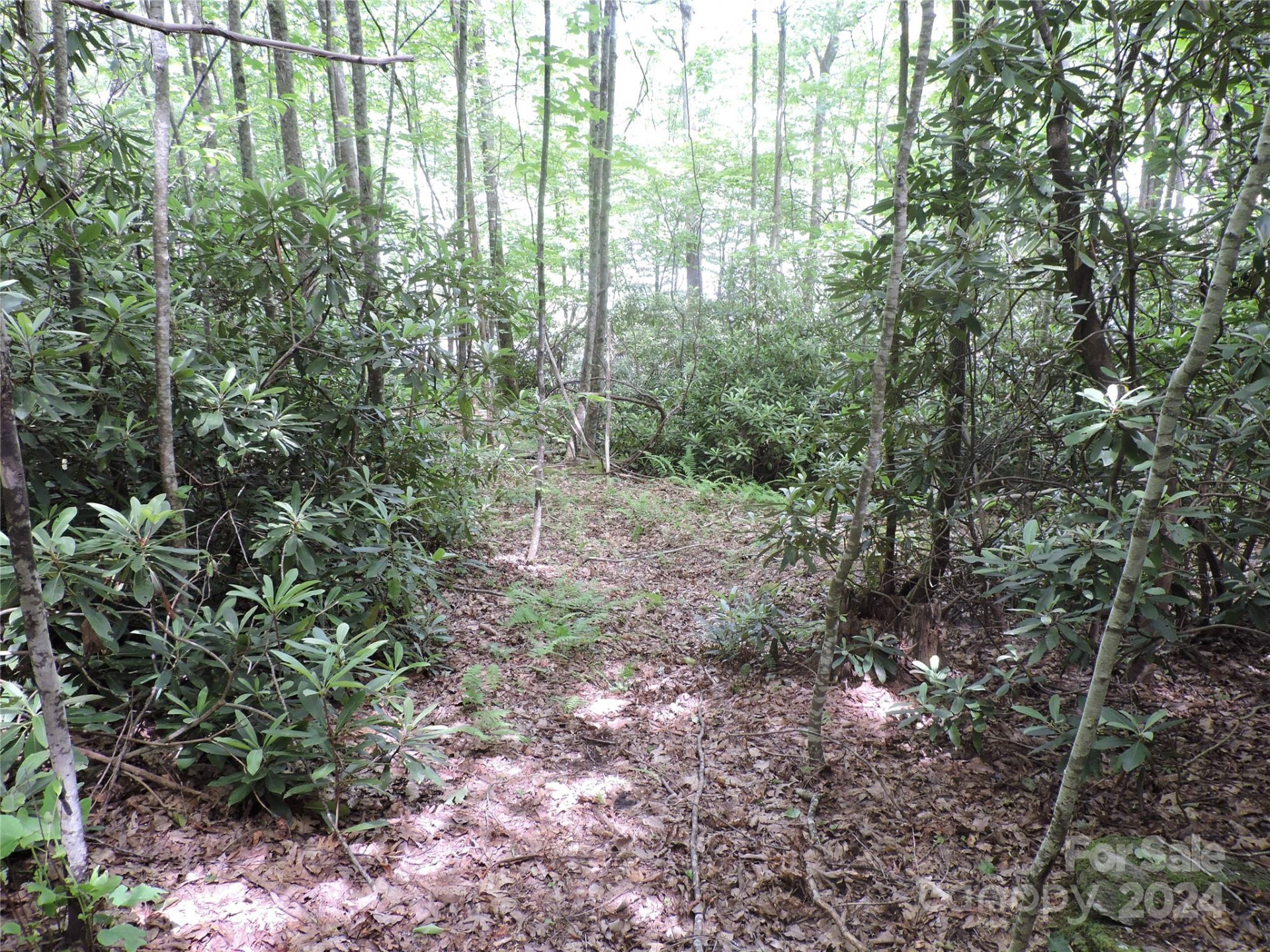 00 South Toe River Road #lot 2 - Photo 10