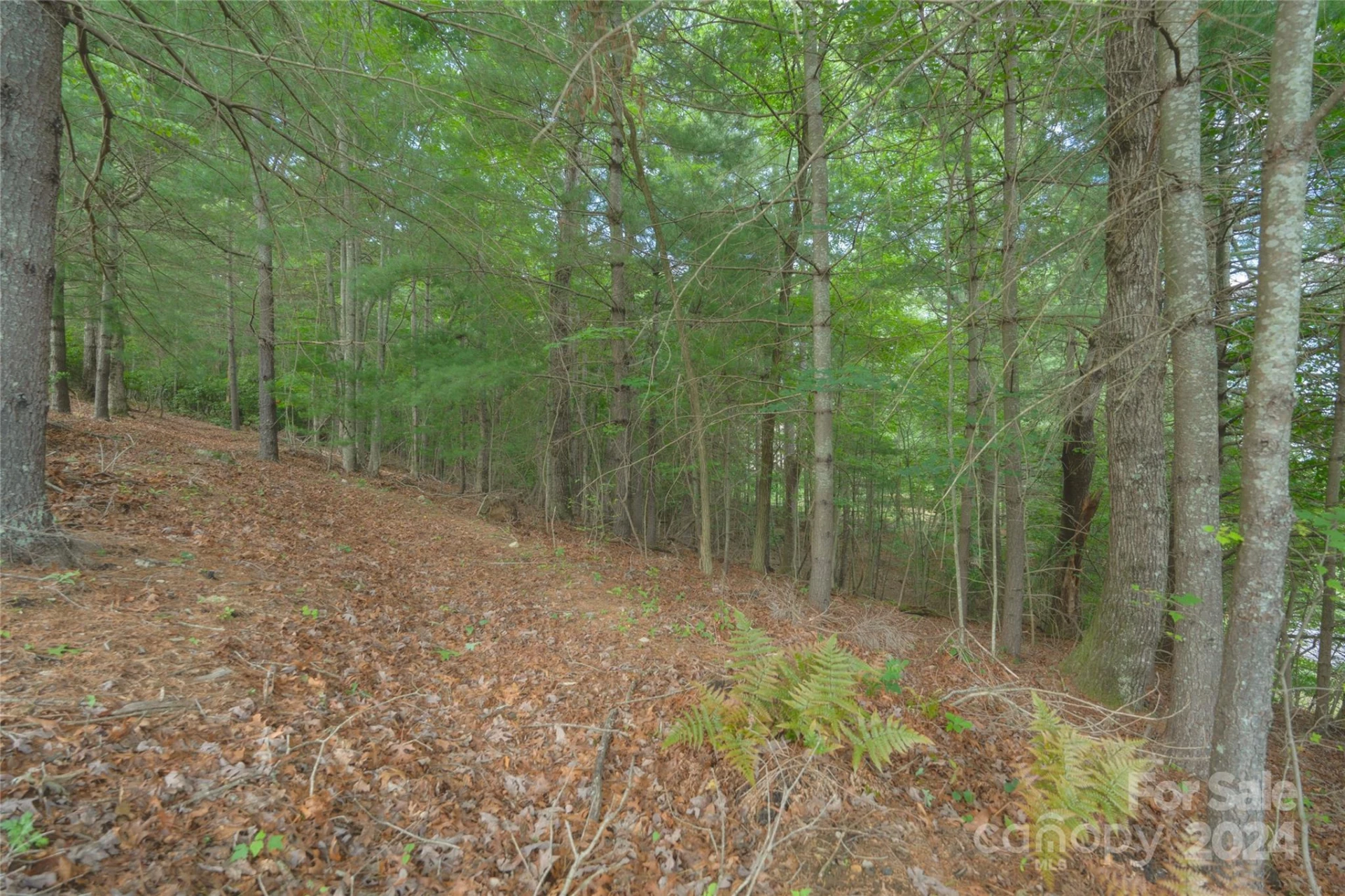 0 South Ridge Drive #61/62 - Photo 14