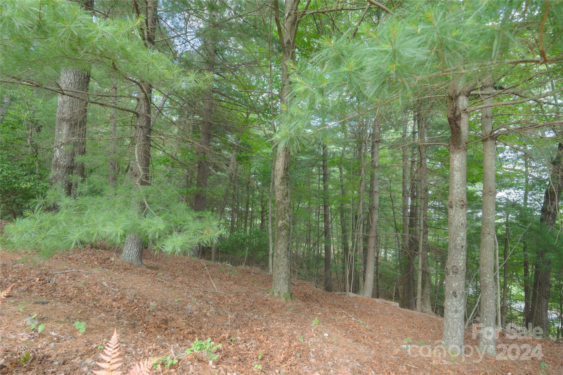 0 South Ridge Drive #61/62 - Photo 16