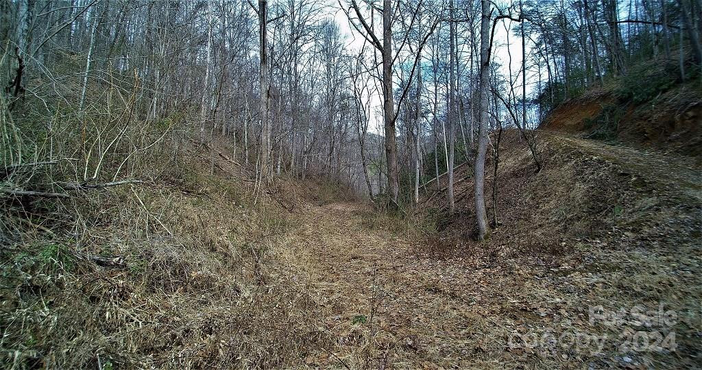 TBD Tee Pee Drive - Photo 11