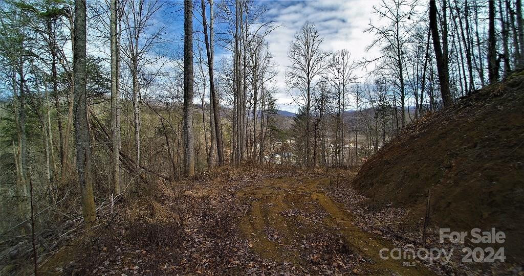 TBD Tee Pee Drive - Photo 12