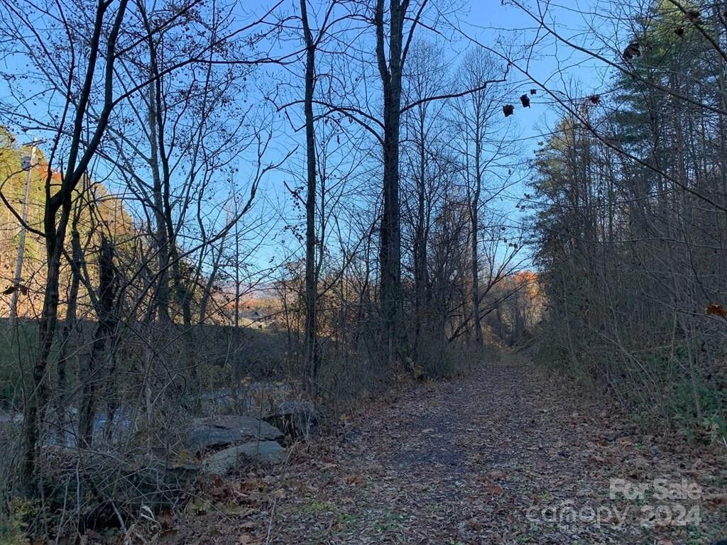 TBD Tee Pee Drive - Photo 14