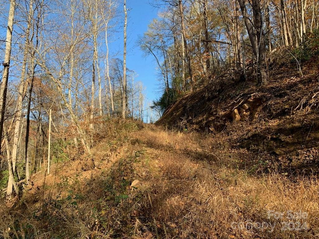 TBD Tee Pee Drive - Photo 15