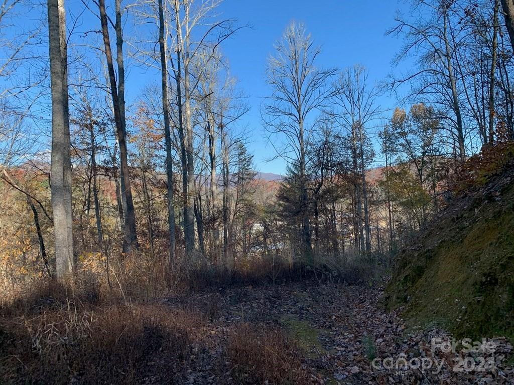 TBD Tee Pee Drive - Photo 5