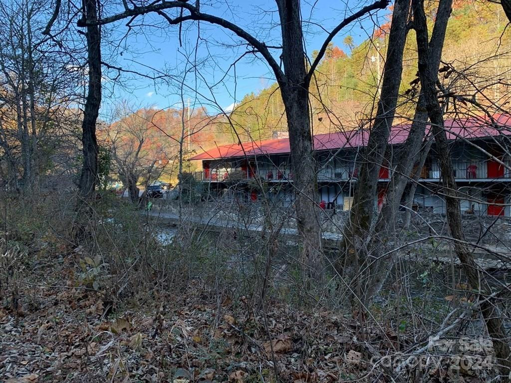 TBD Tee Pee Drive - Photo 6