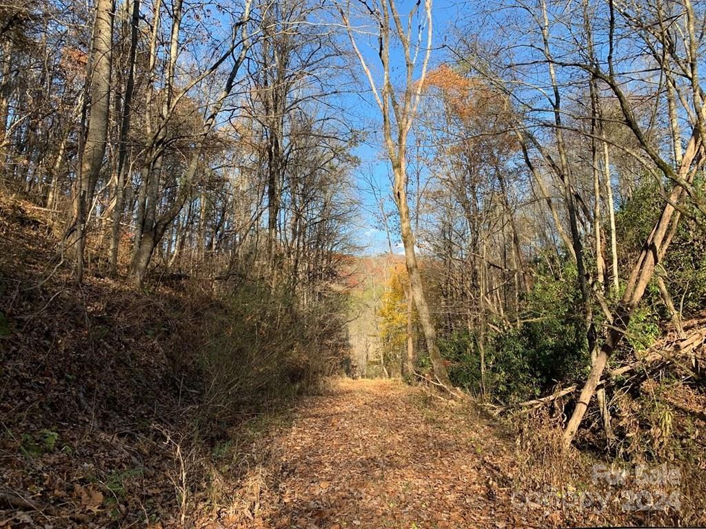 TBD Tee Pee Drive - Photo 8