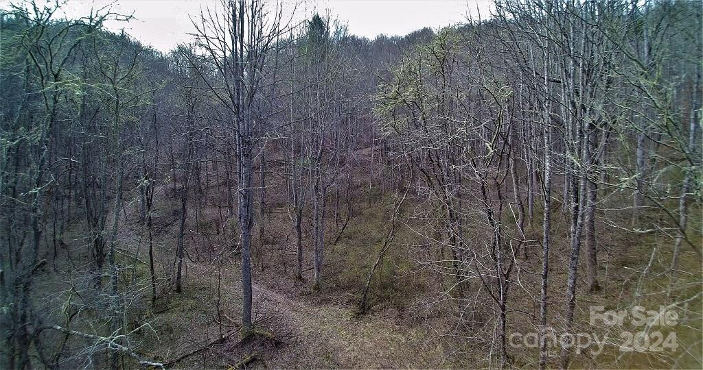 TBD Tee Pee Drive - Photo 9