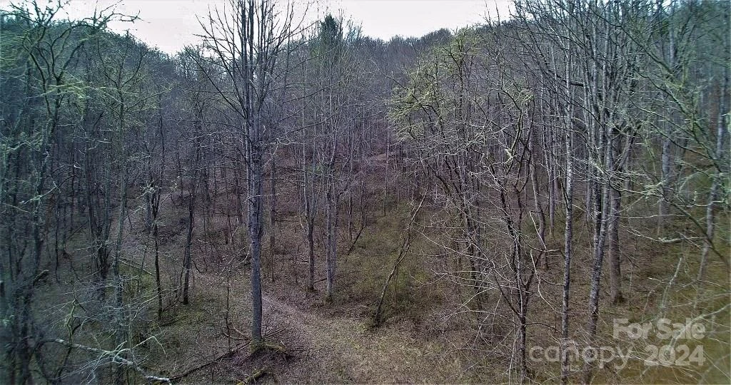 TBD Tee Pee Drive - Photo 9