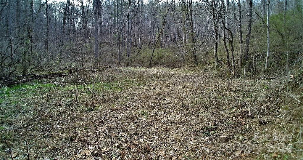 TBD Tee Pee Drive - Photo 10