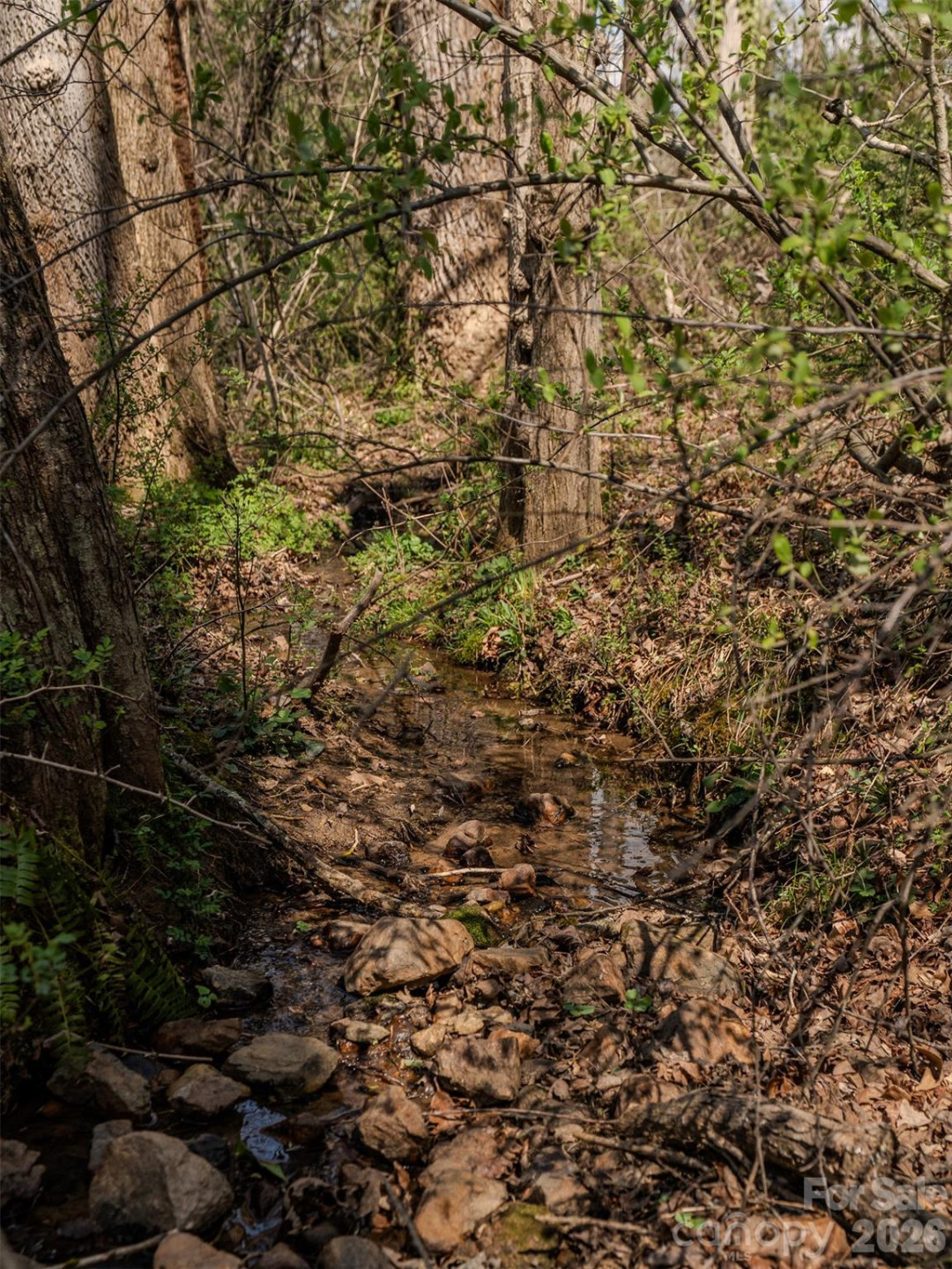 105 Round Table Trail #Lot 6 - Photo 4