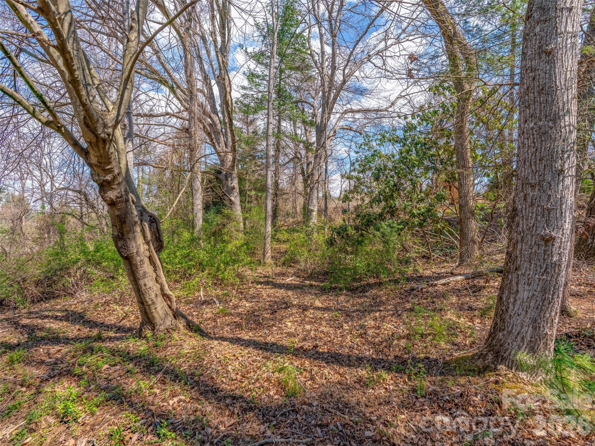 109 Round Table Trail #Lot 7 - Photo 6