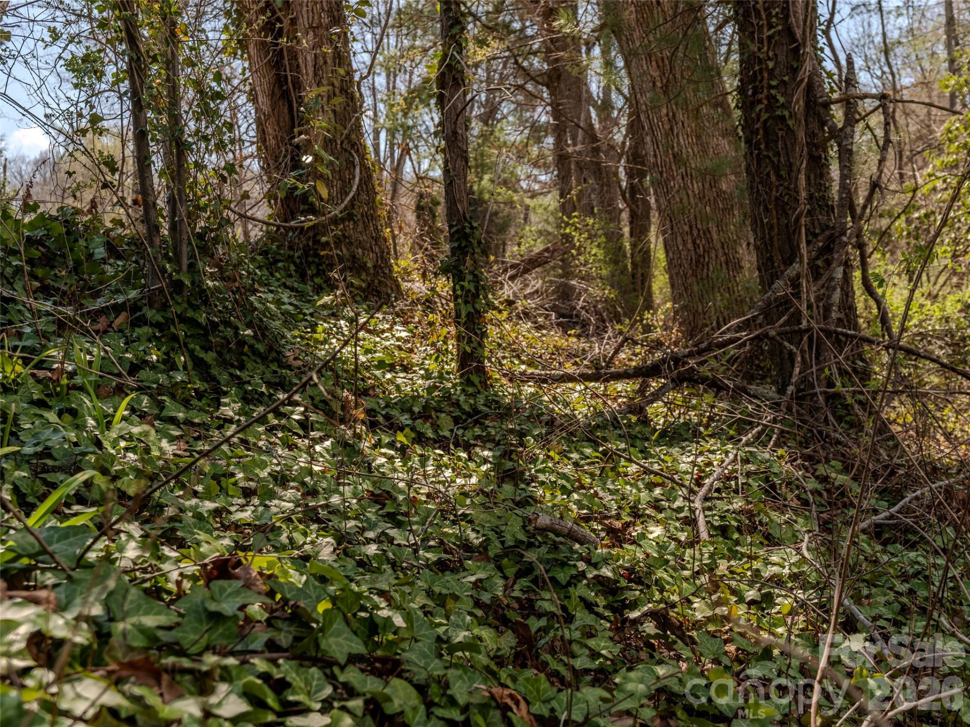 109 Round Table Trail #Lot 7 - Photo 10