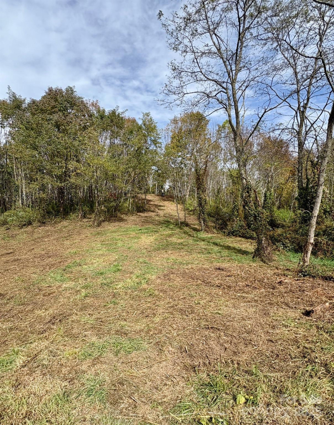 Tract 2 Turkey Trot Road - Photo 2