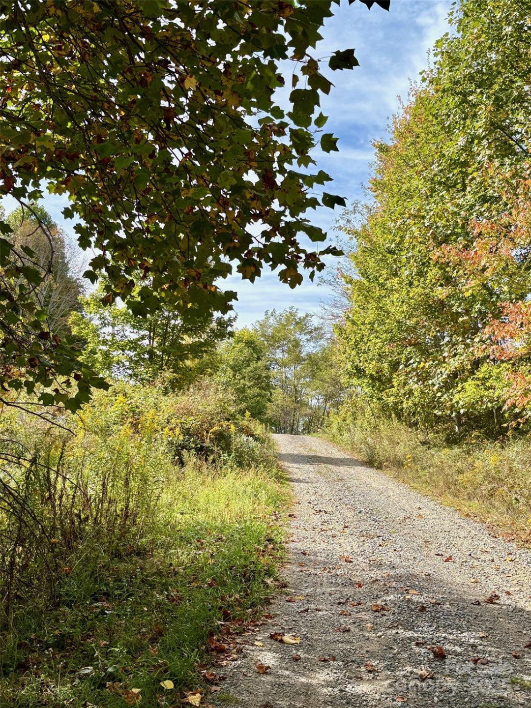 Tract 2 Turkey Trot Road - Photo 12