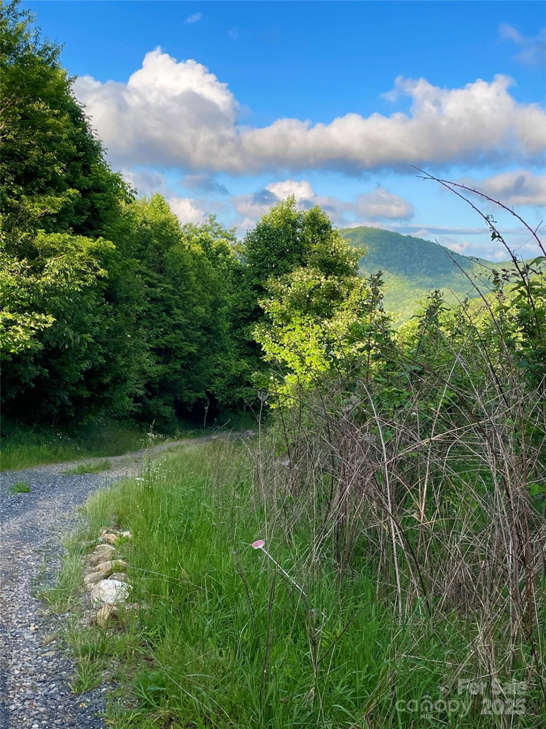 Tract 2 Turkey Trot Road - Photo 15