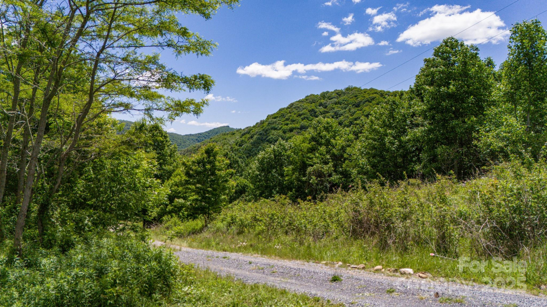 Tract 2 Turkey Trot Road - Photo 16