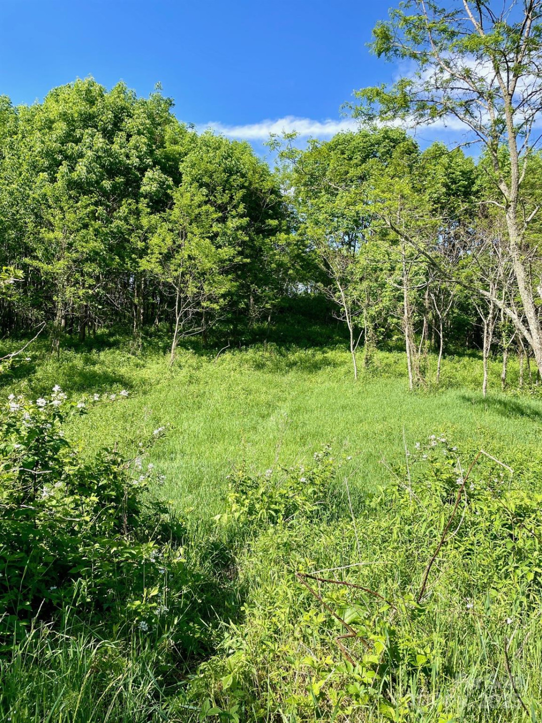 Tract 2 Turkey Trot Road - Photo 17